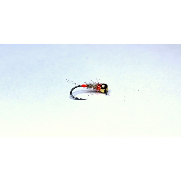 Nimfa NI-016
